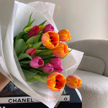 Tammy Tulips